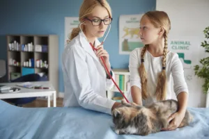 Katzenkrankenversicherungen Tarife